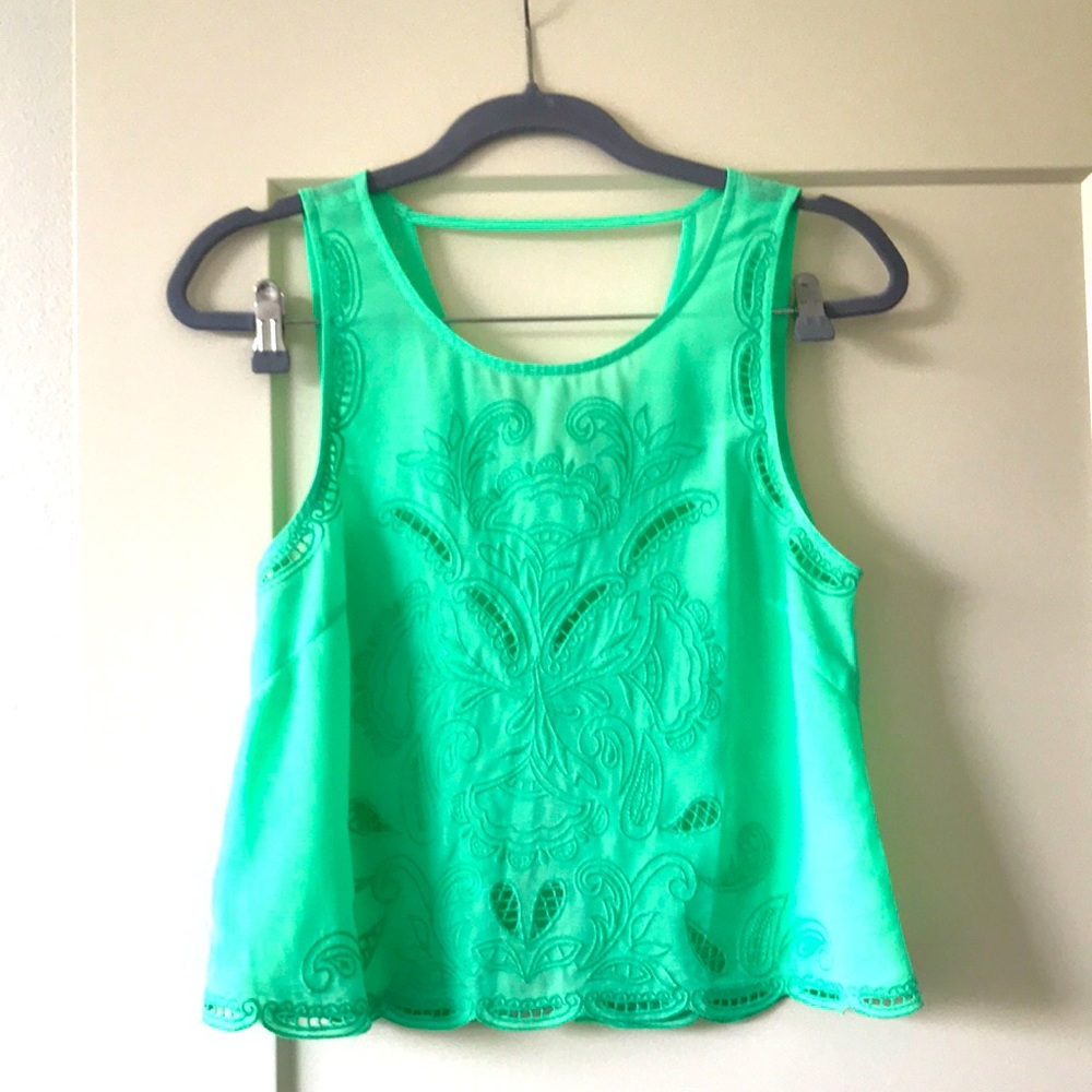 Mint Green Embroidered Crop Top